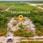 listing image thumbnail with ID 91334