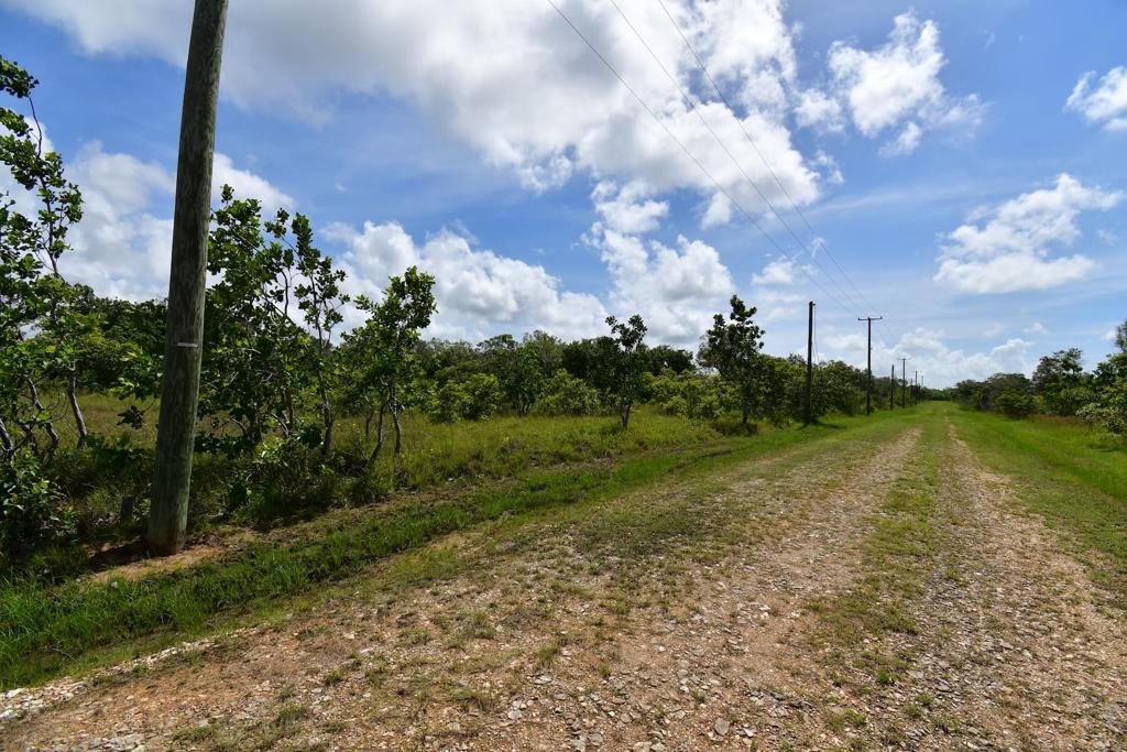 listing image with ID 95107