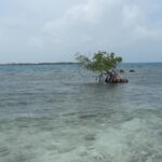 listing image thumbnail with ID 99353