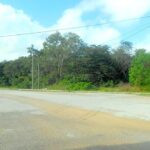 listing image thumbnail with ID 92988
