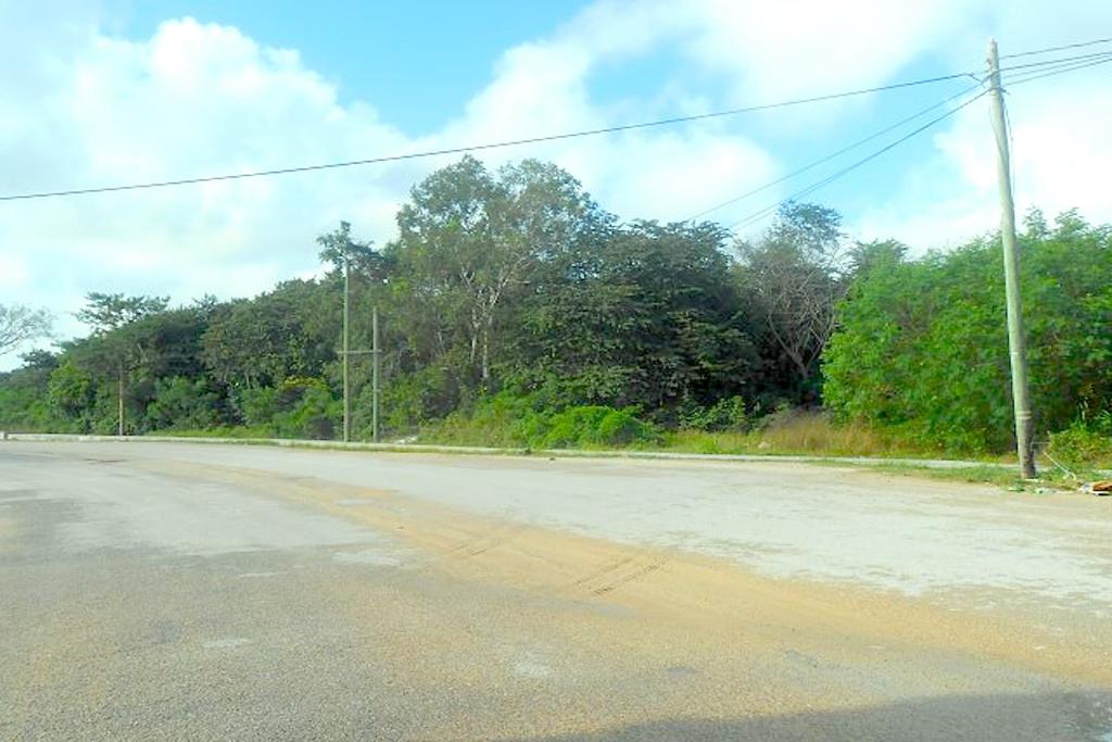 listing image with ID 92988