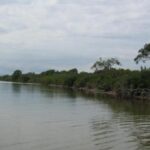 listing image thumbnail with ID 90728
