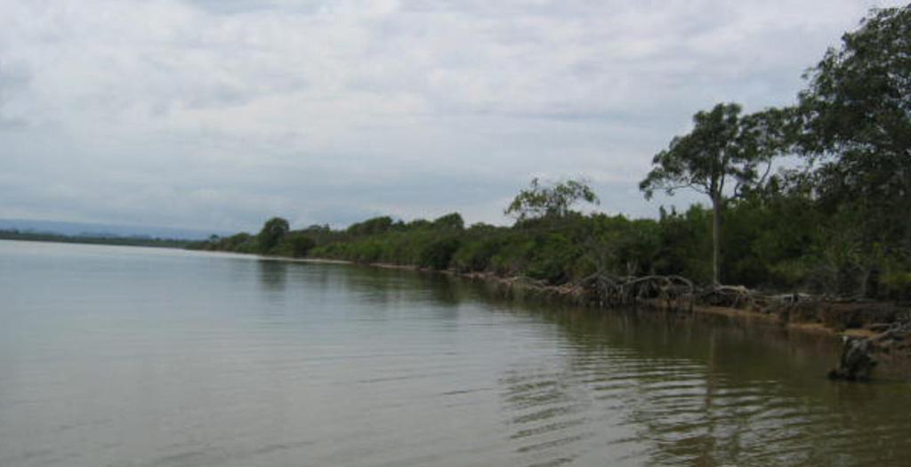 listing image with ID 90728