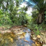 listing image thumbnail with ID 104292