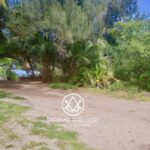 listing image thumbnail with ID 105404