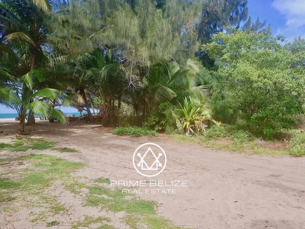 listing image with ID 105404