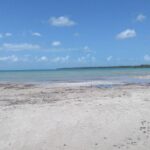 listing image thumbnail with ID 85214