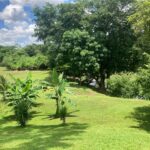 listing image thumbnail with ID 75984