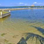 listing image thumbnail with ID 77225