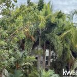 listing image thumbnail with ID 77695