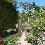 listing image thumbnail with ID 77710