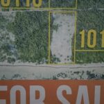listing image thumbnail with ID 100249
