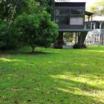 listing image thumbnail with ID 99359