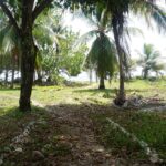 listing image thumbnail with ID 84713