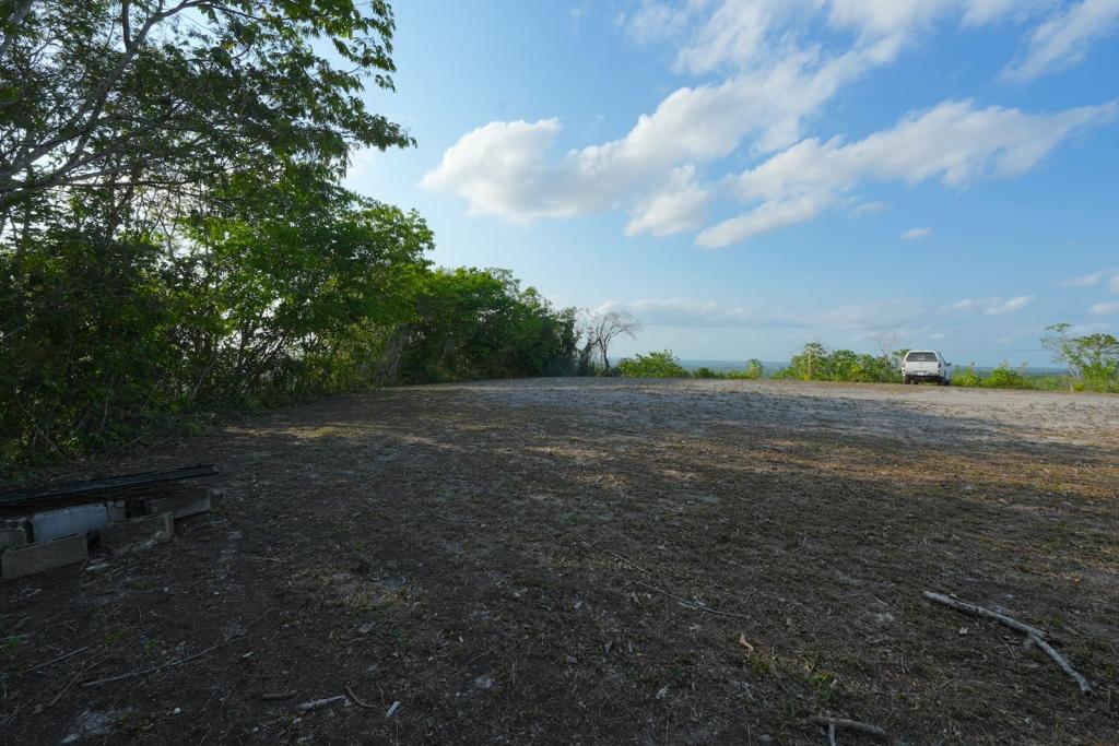 listing image with ID 90809