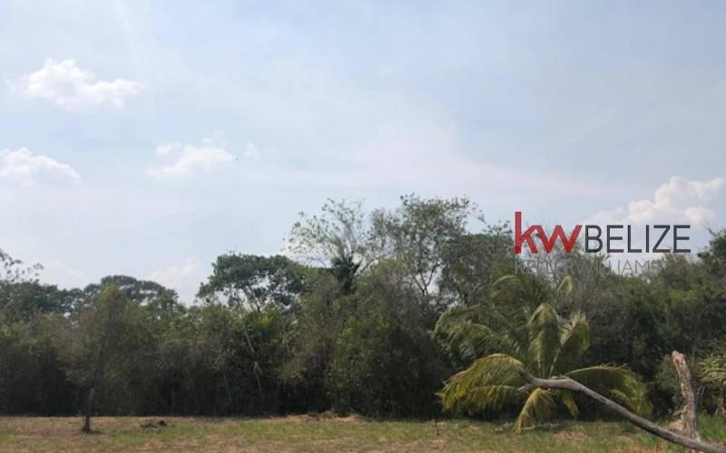 listing image with ID 84151