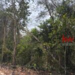 listing image thumbnail with ID 84154