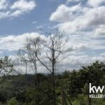 listing image thumbnail with ID 83121
