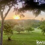 listing image thumbnail with ID 92021