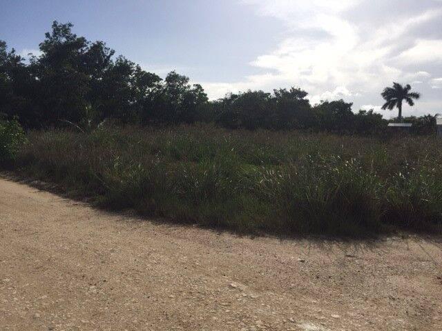 listing image with ID 94432