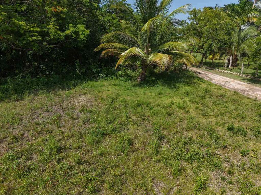listing image with ID 102192