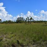 listing image thumbnail with ID 108590