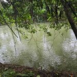 listing image thumbnail with ID 90335