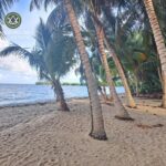 listing image thumbnail with ID 106371