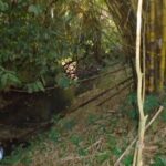 listing image thumbnail with ID 77017