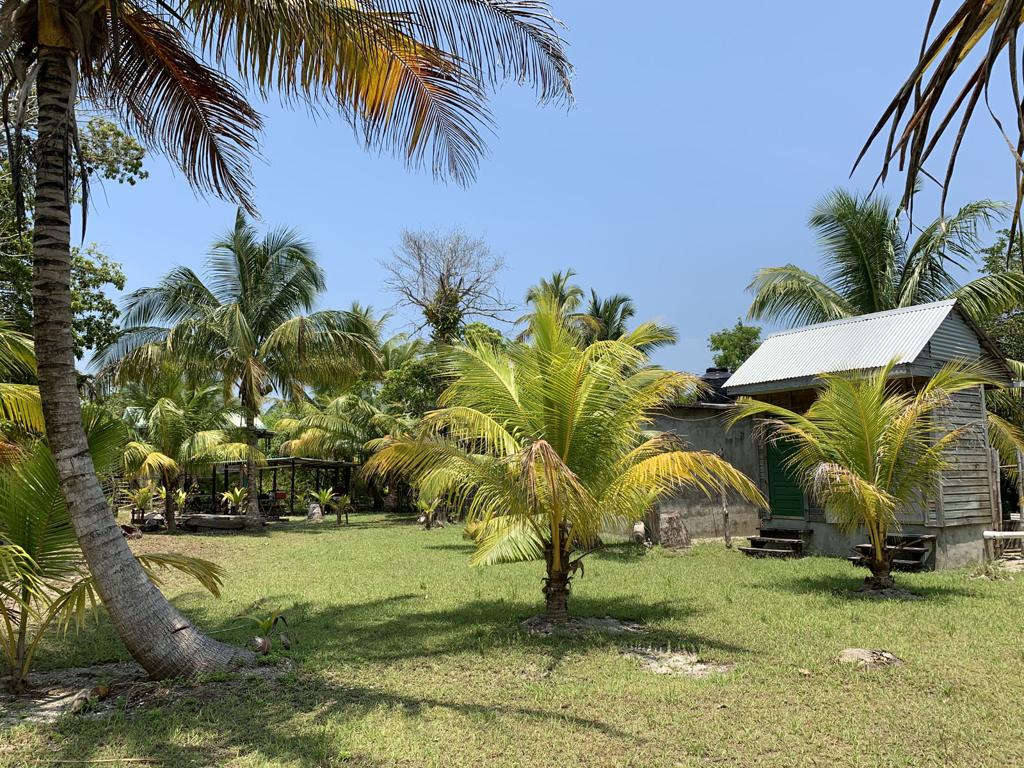 listing image with ID 75590