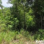 listing image thumbnail with ID 94448