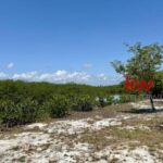 listing image thumbnail with ID 84983