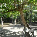 listing image thumbnail with ID 82837