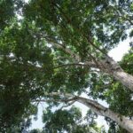 listing image thumbnail with ID 104679