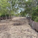 listing image thumbnail with ID 78392