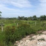 listing image thumbnail with ID 92667
