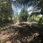 listing image thumbnail with ID 78452