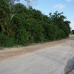 listing image thumbnail with ID 100956