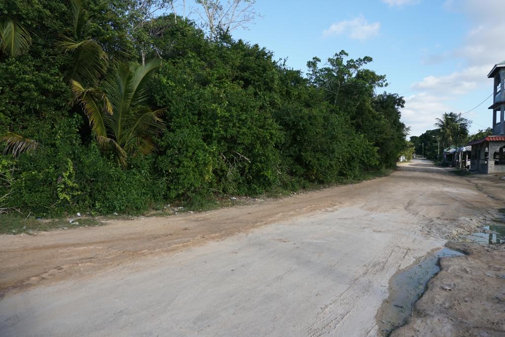 listing image with ID 100956