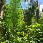listing image thumbnail with ID 98585