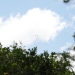 listing image thumbnail with ID 97739