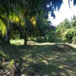 listing image thumbnail with ID 81702