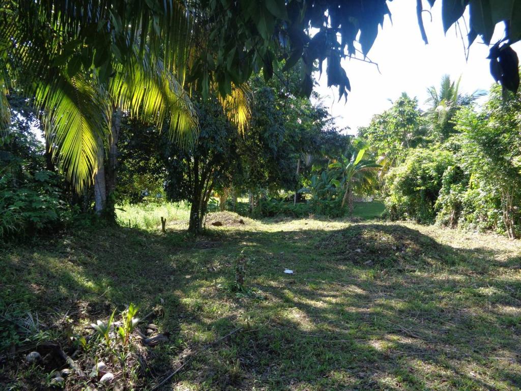 listing image with ID 81702