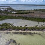 listing image thumbnail with ID 104630