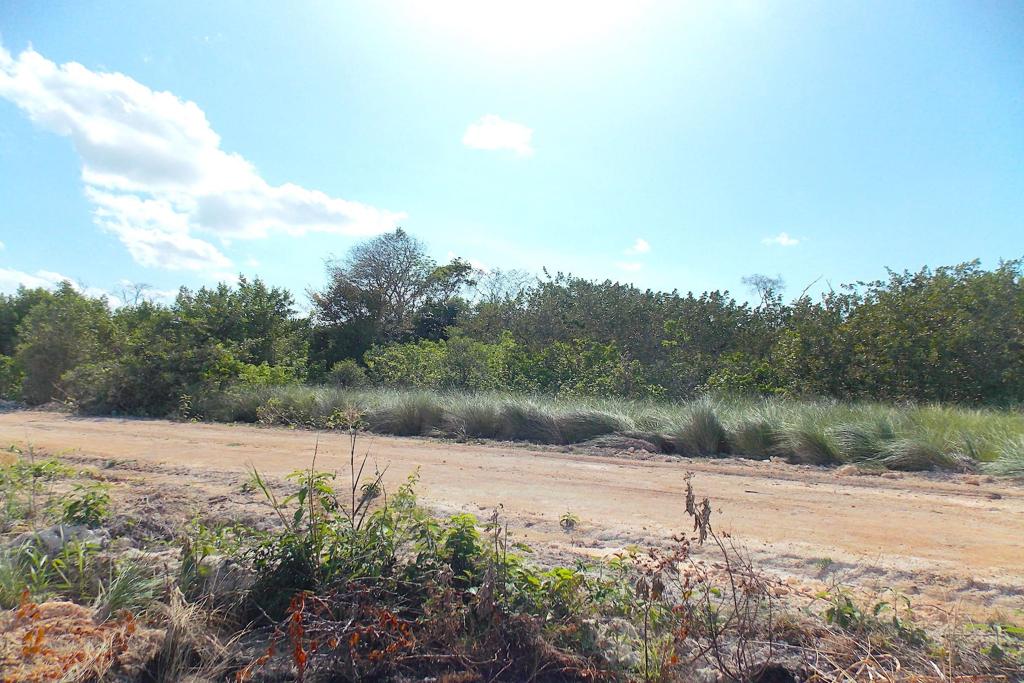 listing image with ID 97750