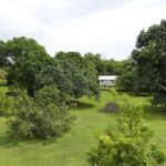listing image thumbnail with ID 108222