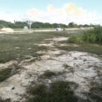 listing image thumbnail with ID 99498