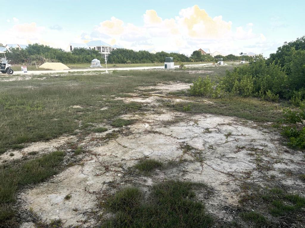 listing image with ID 99498