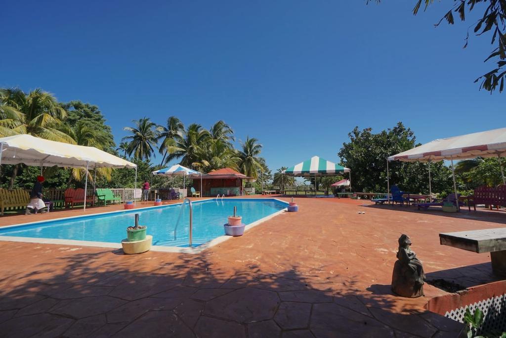 listing image with ID 88109