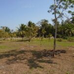 listing image thumbnail with ID 77858